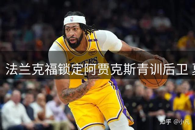 法兰克福锁定阿贾克斯青训后卫 夏窗压哨签引关注
