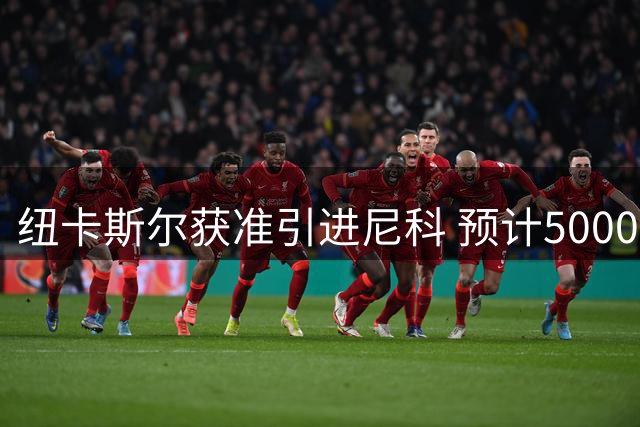 纽卡斯尔获准引进尼科 预计5000万英镑签约